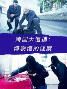 跨国大追捕:博物馆的谜案电影海报