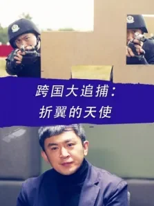 跨国大追捕:折翼的天使电影海报