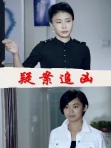 疑案追凶电影海报