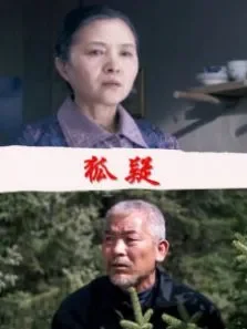 狐疑电影海报