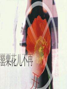 罂粟花儿不再开