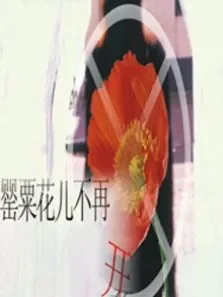罂粟花儿不再开电影海报