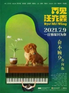 再见汪先森电影海报