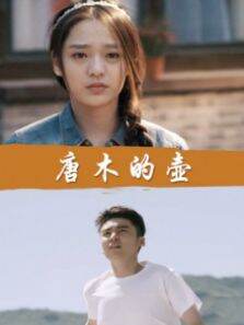 唐木的壶