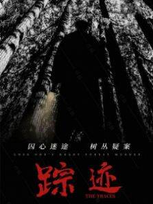 踪迹