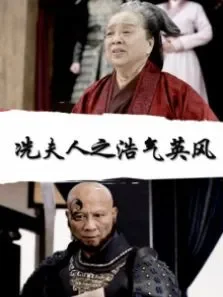 冼夫人之浩气英风电影海报