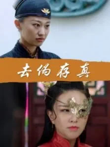 去伪存真电影海报