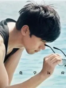 化学反应电影海报
