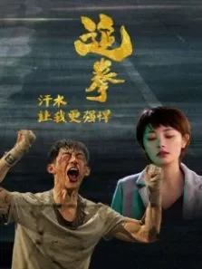 追拳电影海报