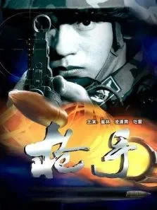 枪手 中文版电影海报