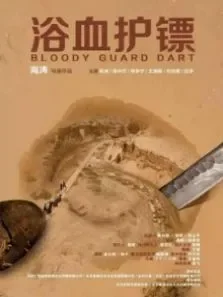 浴血护镖电影海报