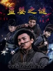 盗婴之谜电影海报