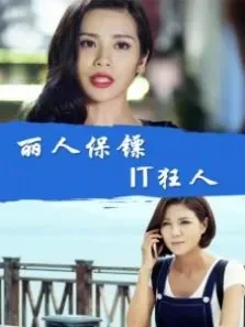 丽人保镖之IT狂人电影海报