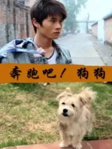 奔跑吧狗狗电影海报