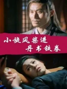 小旋风柴进之丹书铁券电影海报