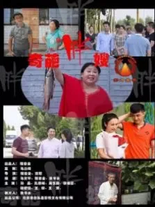 奇葩胖嫂电影海报
