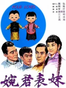 婉君表妹电影海报