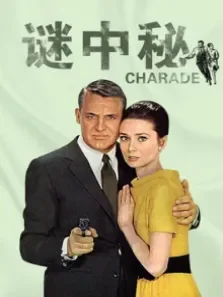 谜中之谜（译制配音版）电影海报