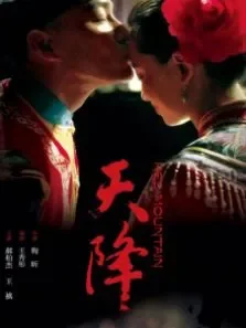 天降电影海报