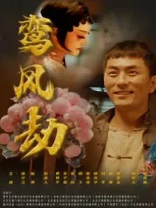 鸾凤劫电影海报