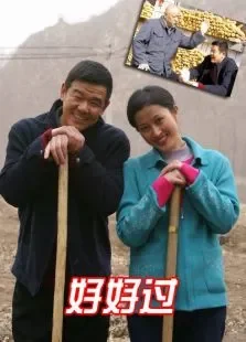 好好过电影海报