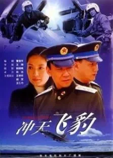 冲天飞豹电影海报