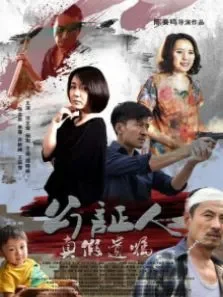 公证人之真假遗嘱电影海报