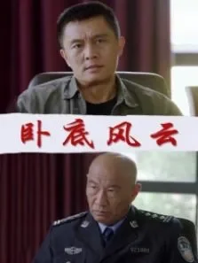 卧底风云电影海报