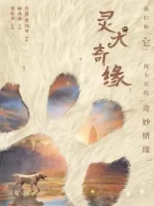 灵犬奇缘电影海报