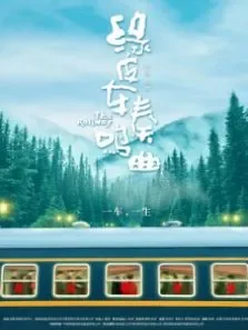 绿皮车奏鸣曲电影海报