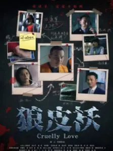 狼皮袄电影海报