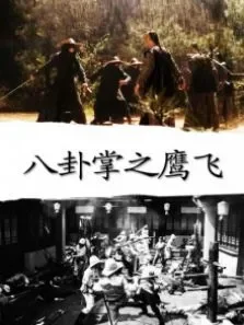 八卦掌之鹰飞电影海报
