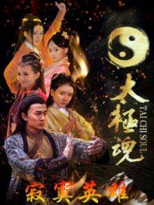 太极魂之寂寞英雄
