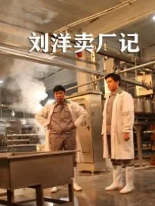 刘洋卖厂记电影海报