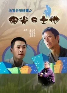 法官老张轶事之阳光与土地电影海报