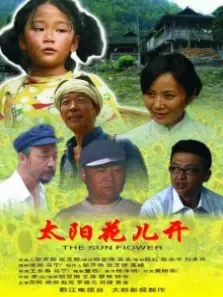 太阳花儿开电影海报