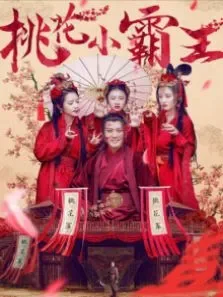 桃花小霸王电影海报