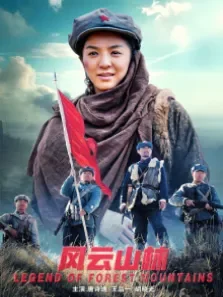 风云山林电影海报