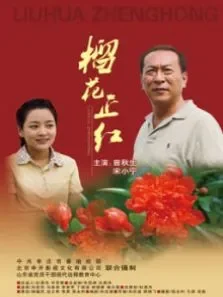榴花正红电影海报
