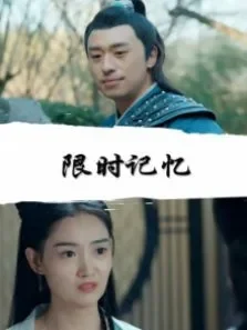 限时记忆电影海报