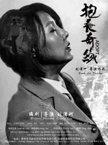 抱养奇缘电影海报