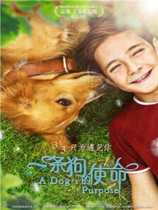 一条狗的使命中文版