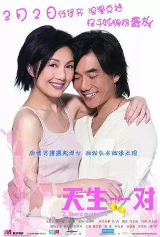 天生一对 2006电影海报