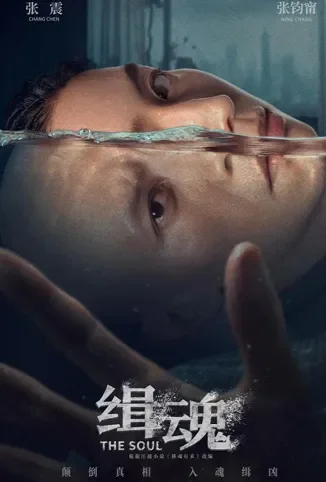 缉魂电影海报