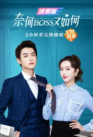 奈何BOSS又如何 速看版电影海报