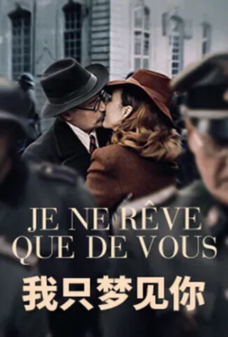 我只梦见你电影海报