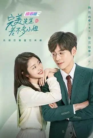 完美先生和差不多小姐 速看版电影海报