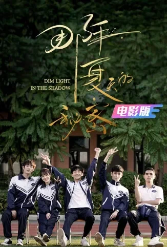 那年夏天的秘密 电影版电影海报