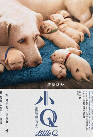 小Q 粤语版