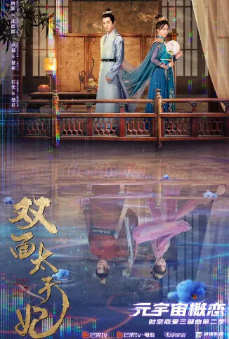 双面太子妃电影海报